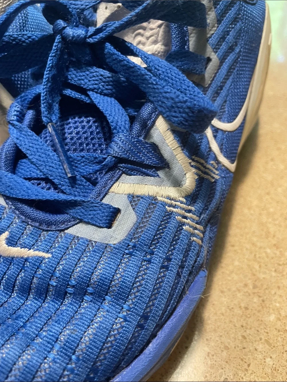 Nike Lebron Witness Kids Blue and White Athletic Sneakers